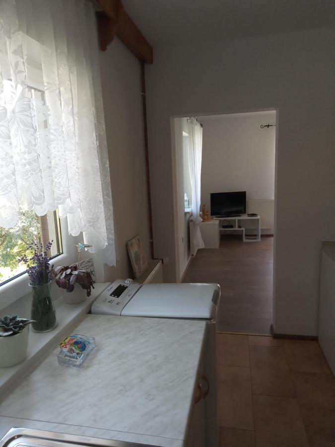 Apartment With A View Бохінська Бістріца Екстер'єр фото